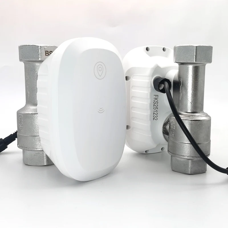 Válvula de Água com Controle I - Home Assistant Tuya avaliação e preço